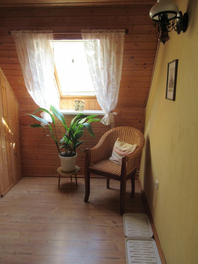 Ferienwohnung Sommer Friedrichsbrunn Εξωτερικό φωτογραφία